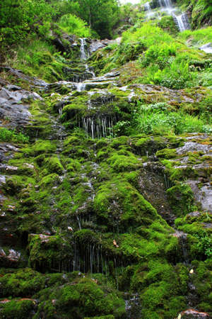 Beautiful streams and waterfallsの写真素材