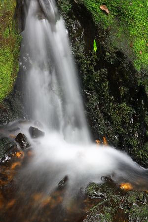 Beauty of the streamの写真素材