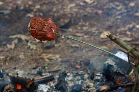 Closeup of grilled meat