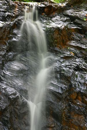 Beauty of the stream