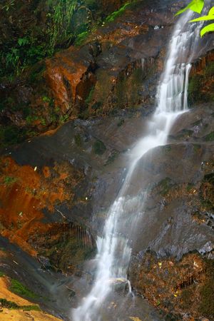 Beauty of the stream