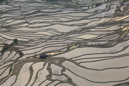 Rice terraced fields in Yuan Yang, Chinaの写真素材
