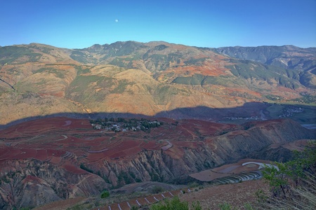 The scenery of rural crops cultivationの写真素材