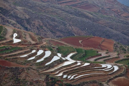 The scenery of rural crops cultivationの写真素材