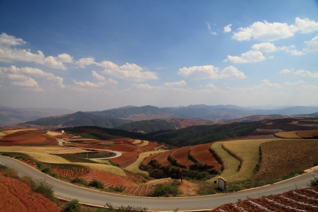 The scenery of rural crops cultivationの写真素材