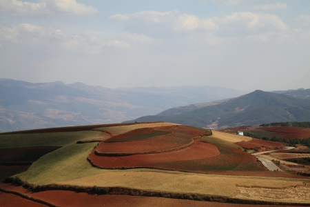 The scenery of rural crops cultivationの写真素材