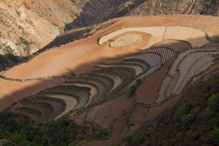 The scenery of rural crops cultivationの写真素材
