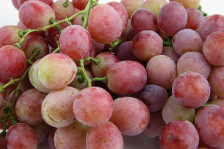 Red Grapes on white background の写真素材