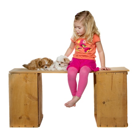a little girl or toddler singing her puppies to sleep two puppies are laying on a bench, Isloted on a white backgroundの写真素材