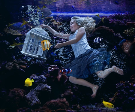 an attractive girl swimming in a fishtank with tropical fish all around her, she is holding a birdcage as a fish swims out of it.の写真素材