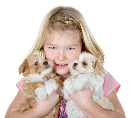 a girl holding two small fluffy puppies close to her face, isolated on a white backgroundの写真素材