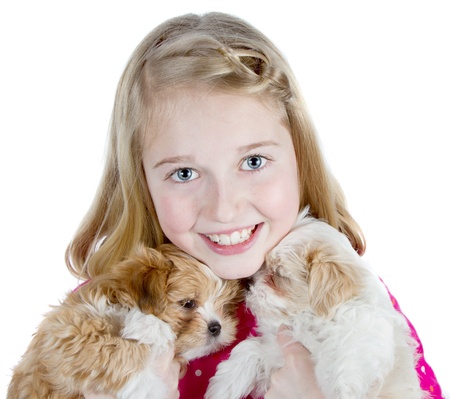 a happy girl hugging two small fluffy puppies, isolated on a white backgroundの写真素材