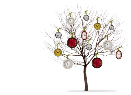a barren tree with decorative vintage clocks hanging from itの写真素材