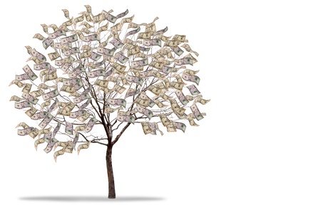a tree covered in money isolated on a white background a tree covered in money isolated on a white background
