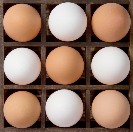 Diversity eggs, brown and white eggs, used as a symbol for diversity.の写真素材