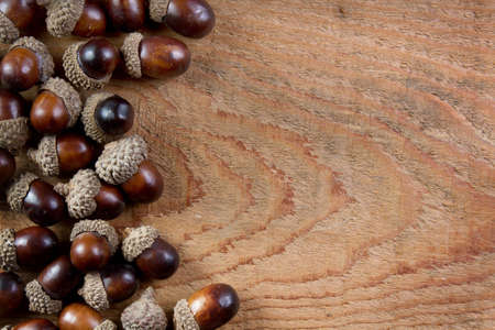 Acorns piled on a wooden backgroundの写真素材