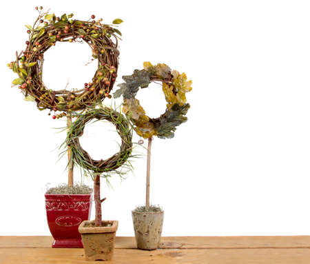 Three ornamental topiaries on a plank, Isolated on a white backgroundの写真素材