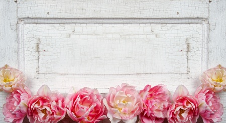 Flowers on a paneled vintage door, (pink tulips or rose like flowers)の写真素材