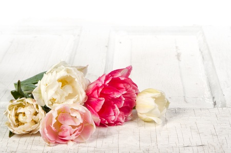 Tulip still life on antique or vintage doorの写真素材