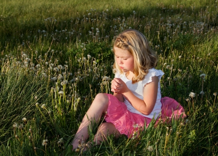 Girl blowing danelion in a field of grassの写真素材
