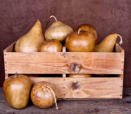 Decorative gourds in an old wooden crateの写真素材