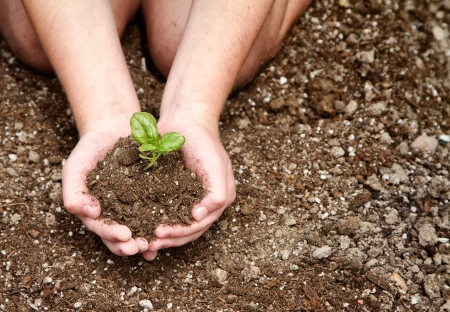Close-up of child's hands holding dirt with a plant in itの写真素材