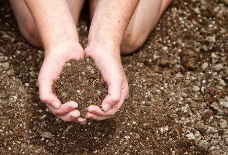 Close-up of child's hands holding dirt