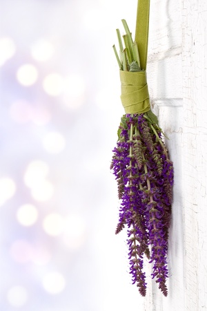 Flowers hanging on a vintage door on white backgroundの写真素材