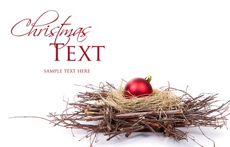 Christmas ornament in a nest on whiteの写真素材