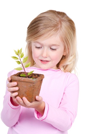 Small child looking down at a potted plant isolated on white.の写真素材