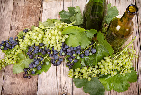 grapes on vine with leaves and empty wine bottles on wooden plankの写真素材