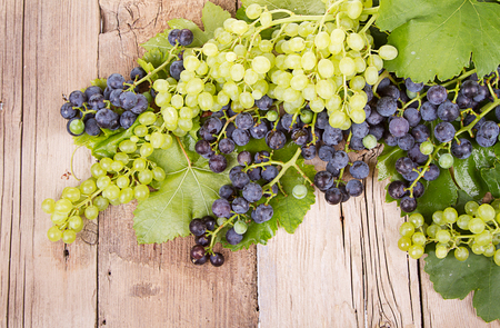 grapes on vine with leaves sitting on rustic wooden plankの写真素材