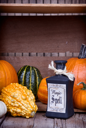 Potion bottles with pumpkins and gourds on wooden planksの写真素材