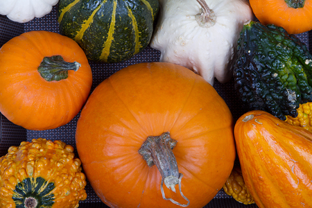 An assortment of pumpkins and gourds on wooden cratesの写真素材