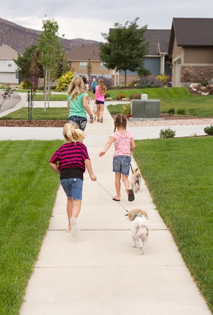 Group of children or teens waking dogs in a neighborhoodの写真素材