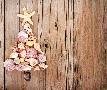 Sea shells shaped as a Christmas tree on a rustic wooden backgroundの写真素材
