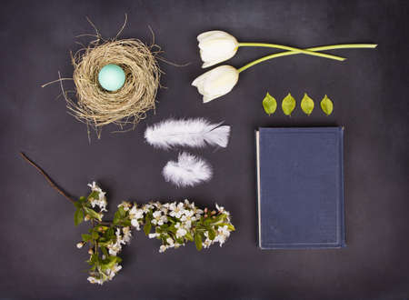 A collection of spring items including, nest, egg, feathers, tulips, branch with blossom, leaves and an antique book on a chalkboard backgroundの写真素材