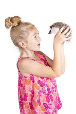 A young girl inspecting her pet hedgehog, isolated on a white backgroundの写真素材