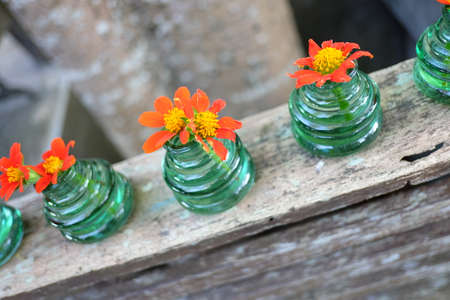 flowers on the tableの写真素材