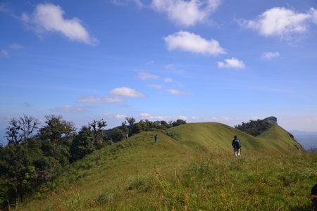 hiking in the mountains , Mon Chong,Chiang Maiの写真素材
