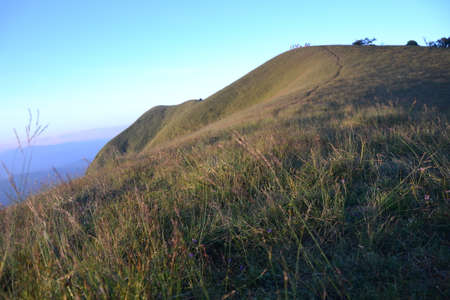 landscape with mountains , Mon Chong,Chiang Maiの写真素材