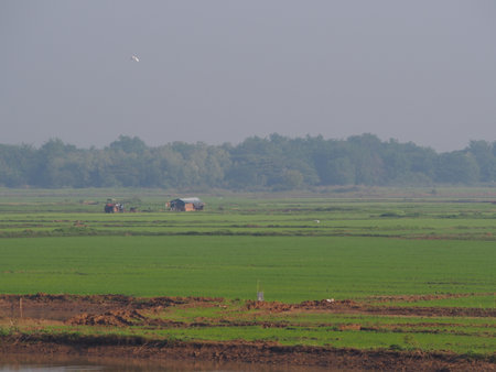 Agricultural field in the countryside of Thailand. Rural landscape.の写真素材