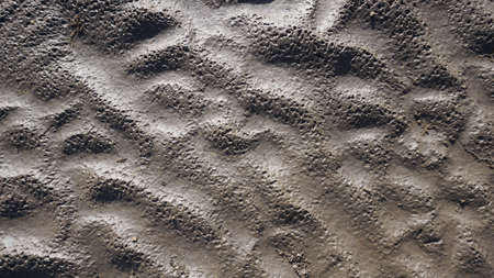 Beautiful natural wavy sand texture with sunlight shining through for the background or background....