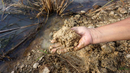 Hand holding the soil by the pond in the garden