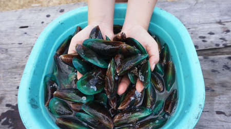 Hand in hand with fresh mussels prepared for the holiday menu.