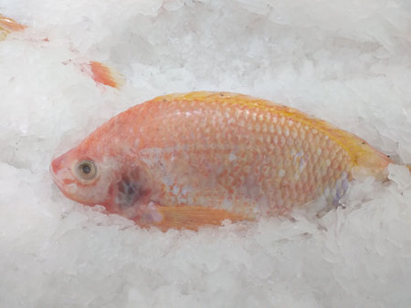 Close-up shot of fresh pomegranate fish on ice, healthy low-fat protein diet.