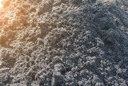 Pile of black chaff for composting for plant maintenance in non-toxic agricultural gardens.の写真素材