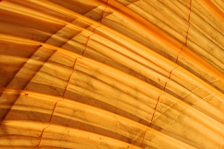 Robe Covers On Sleeping Image Of Buddha, Thailandの写真素材