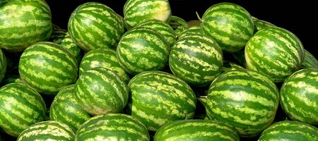 Many water-melons are on all screenの写真素材