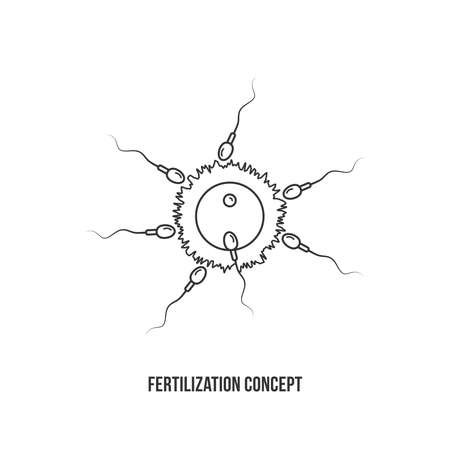 Fertilization process illustration with thin line icon design.のイラスト素材